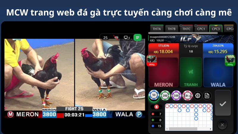 MCW trang web đá gà trực tuyến càng chơi càng mê